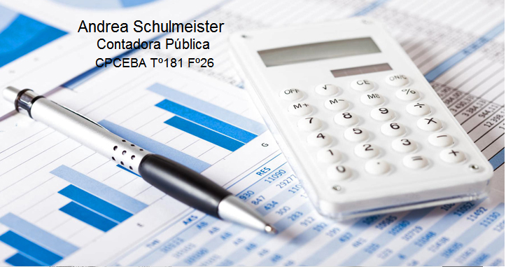 Ambiente de trabajo profesional en Estudio Contable Schulmeister con documentación contable y análisis de balances